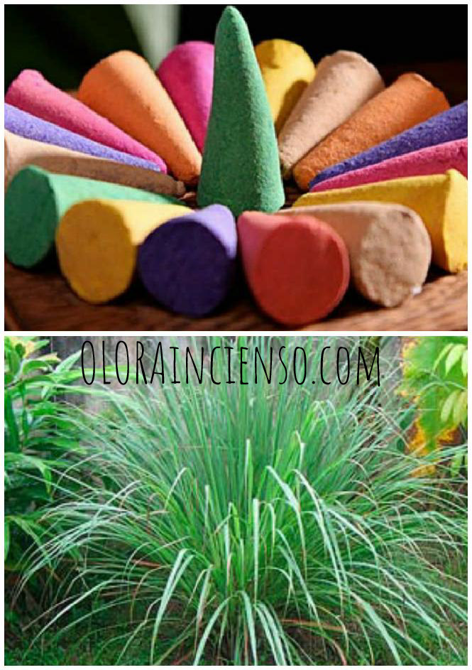 Citronella